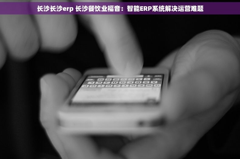 长沙长沙erp 长沙餐饮业福音：智能ERP系统解决运营难题