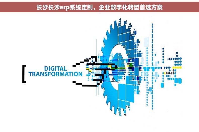 长沙长沙erp系统定制，企业数字化转型首选方案