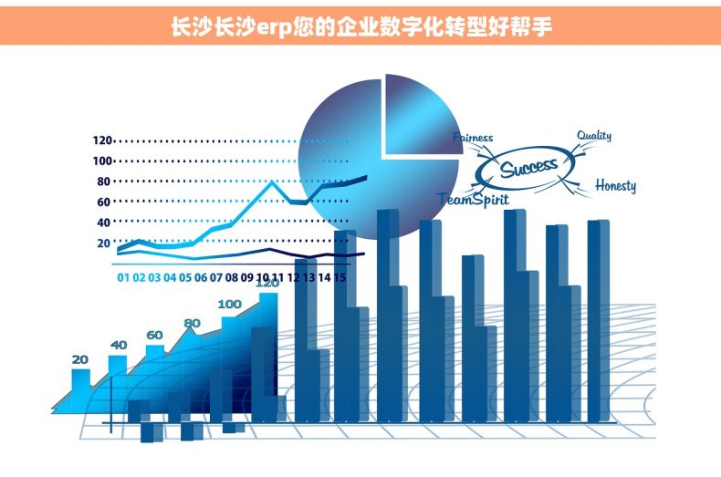 长沙长沙erp您的企业数字化转型好帮手