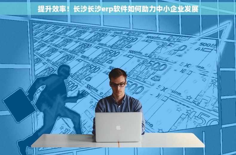 提升效率！长沙长沙erp软件如何助力中小企业发展