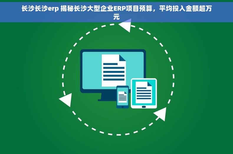 长沙长沙erp 揭秘长沙大型企业ERP项目预算，平均投入金额超万元