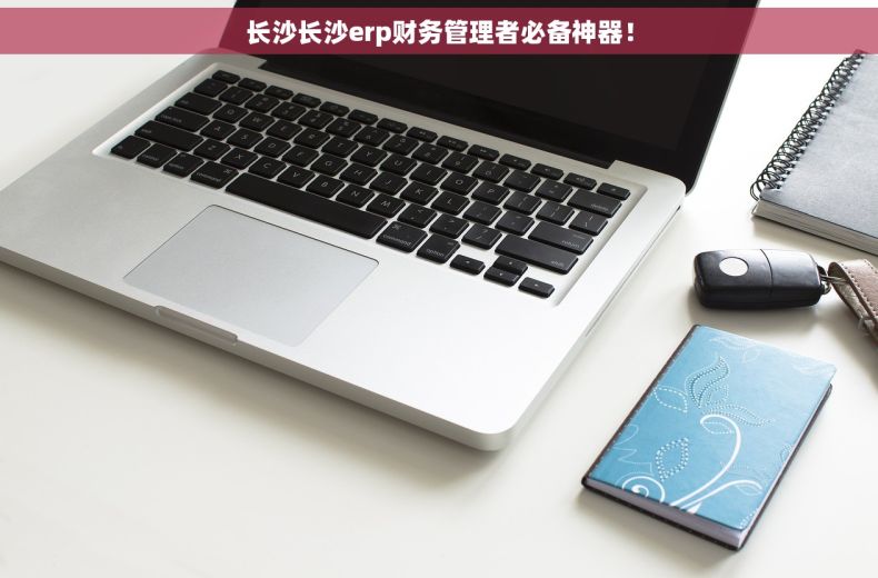 长沙长沙erp财务管理者必备神器！