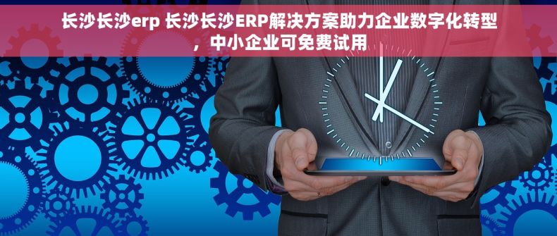 长沙长沙erp 长沙长沙ERP解决方案助力企业数字化转型，中小企业可免费试用