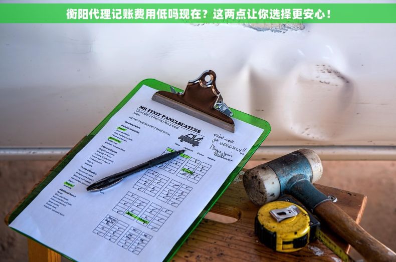 衡阳代理记账费用低吗现在？这两点让你选择更安心！
