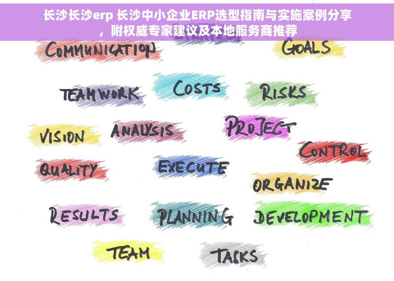 长沙长沙erp 长沙中小企业ERP选型指南与实施案例分享，附权威专家建议及本地服务商推荐