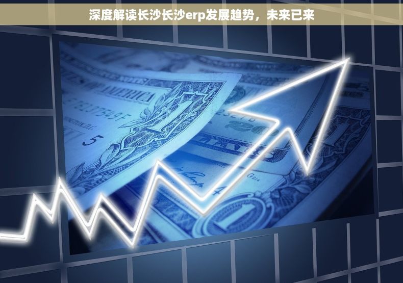 深度解读长沙长沙erp发展趋势，未来已来