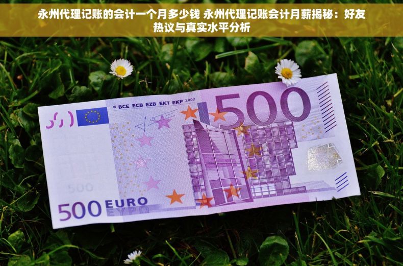 永州代理记账的会计一个月多少钱 永州代理记账会计月薪揭秘：好友热议与真实水平分析