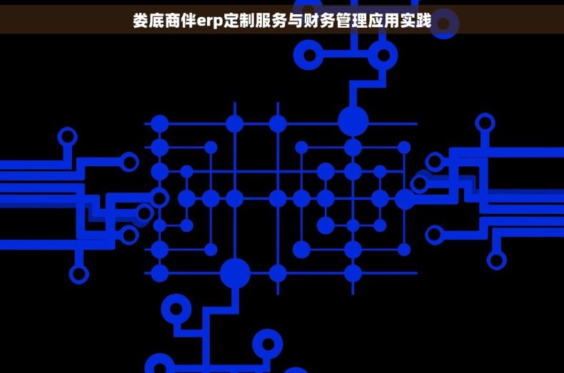 娄底商伴erp定制服务与财务管理应用实践