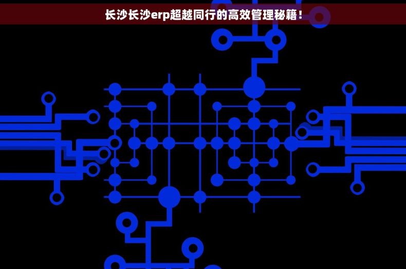 长沙长沙erp超越同行的高效管理秘籍！