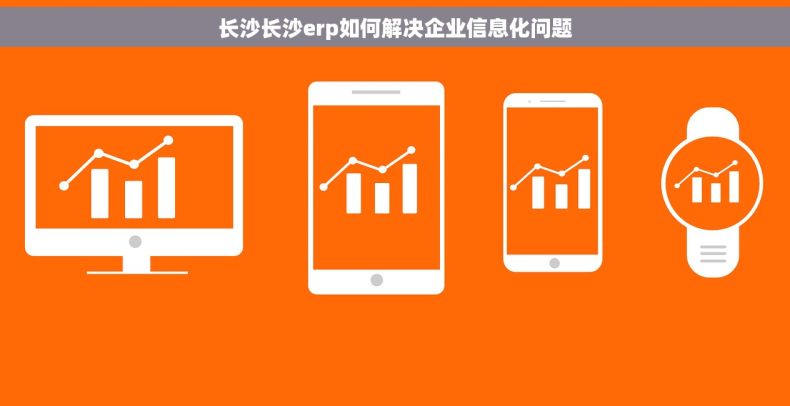 长沙长沙erp如何解决企业信息化问题