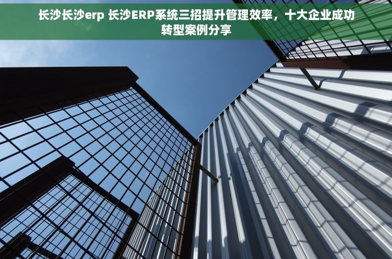 长沙长沙erp 长沙ERP系统三招提升管理效率，十大企业成功转型案例分享