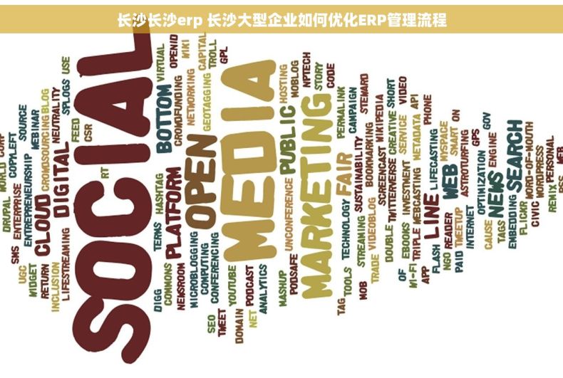 长沙长沙erp 长沙大型企业如何优化ERP管理流程