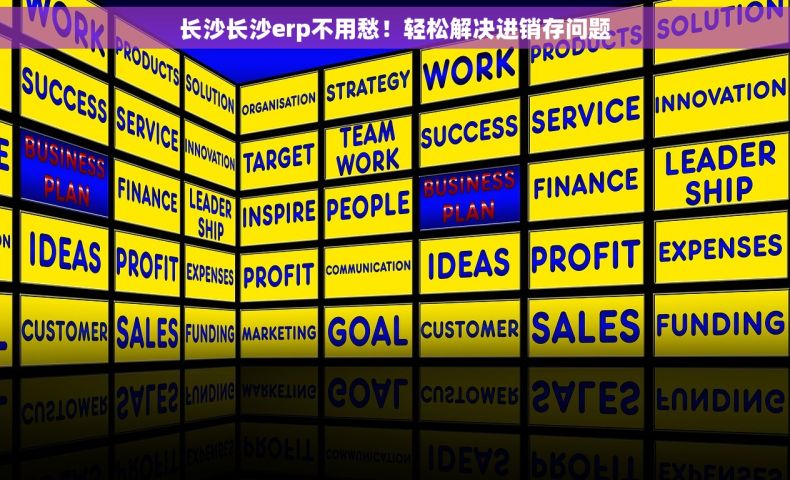 长沙长沙erp不用愁！轻松解决进销存问题
