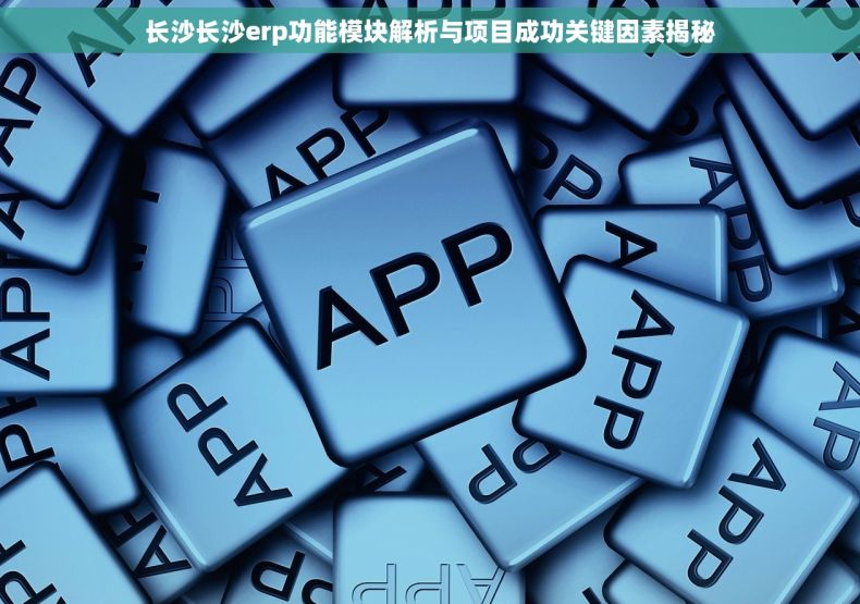 长沙长沙erp功能模块解析与项目成功关键因素揭秘