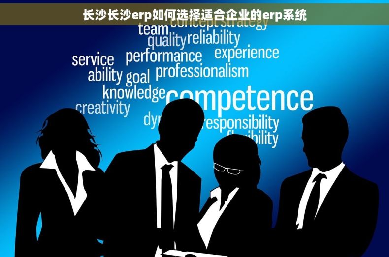 长沙长沙erp如何选择适合企业的erp系统