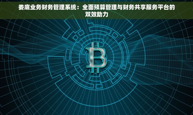 娄底业务财务管理系统：全面预算管理与财务共享服务平台的双效助力