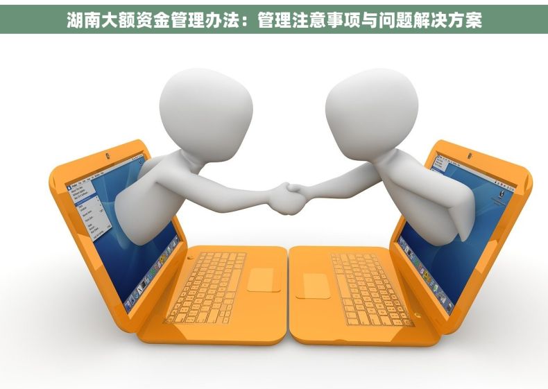 湖南大额资金管理办法：管理注意事项与问题解决方案