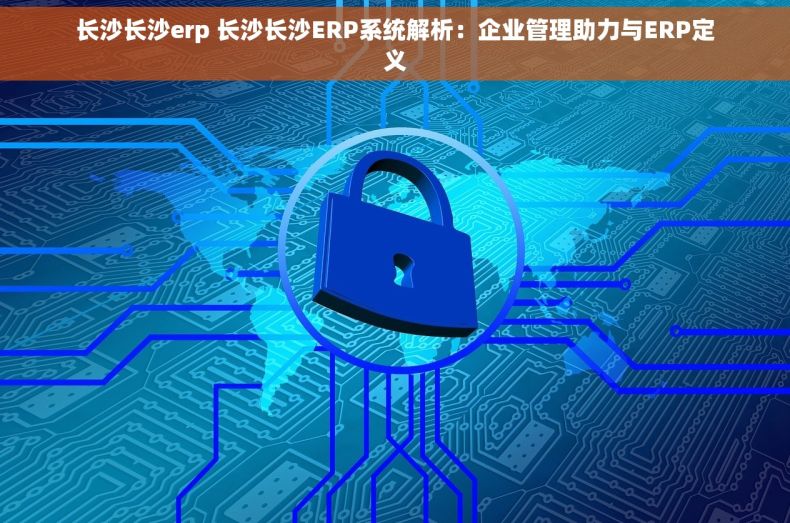 长沙长沙erp 长沙长沙ERP系统解析：企业管理助力与ERP定义