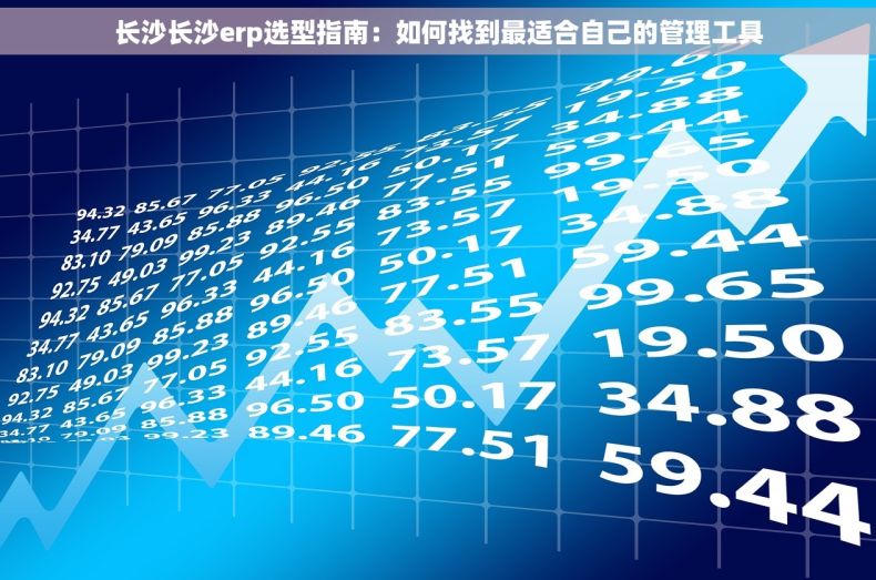 长沙长沙erp选型指南：如何找到最适合自己的管理工具