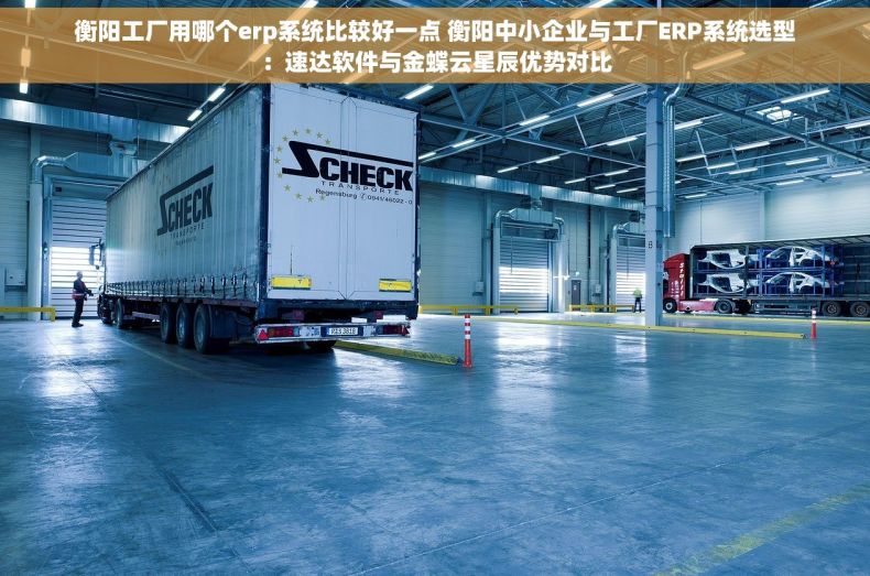 衡阳工厂用哪个erp系统比较好一点 衡阳中小企业与工厂ERP系统选型：速达软件与金蝶云星辰优势对比