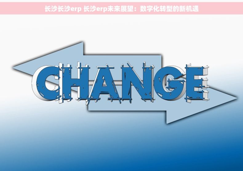 长沙长沙erp 长沙erp未来展望：数字化转型的新机遇