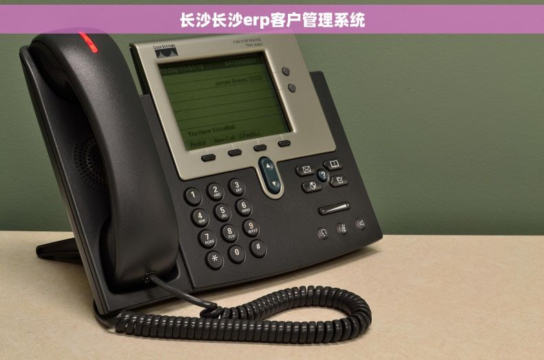长沙长沙erp客户管理系统