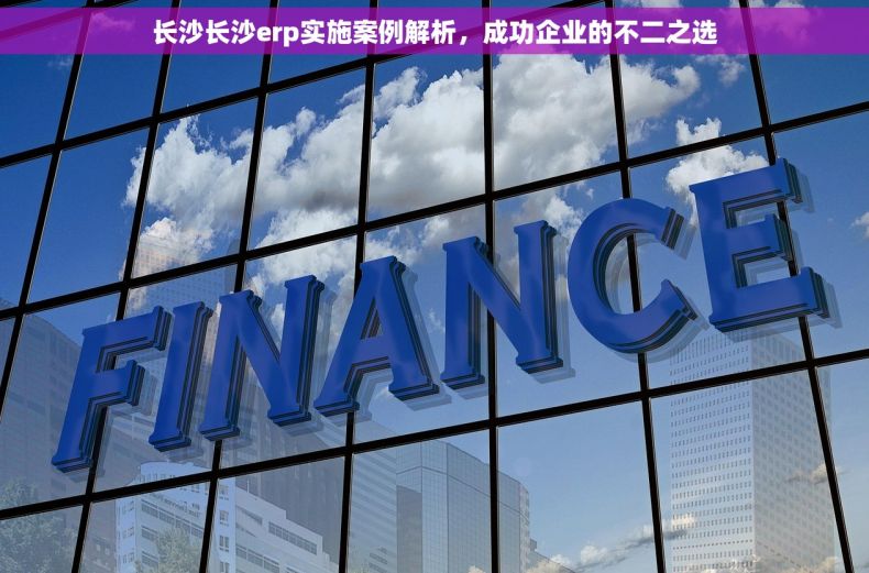 长沙长沙erp实施案例解析，成功企业的不二之选