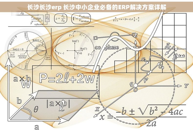 长沙长沙erp 长沙中小企业必备的ERP解决方案详解
