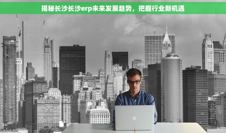揭秘长沙长沙erp未来发展趋势，把握行业新机遇