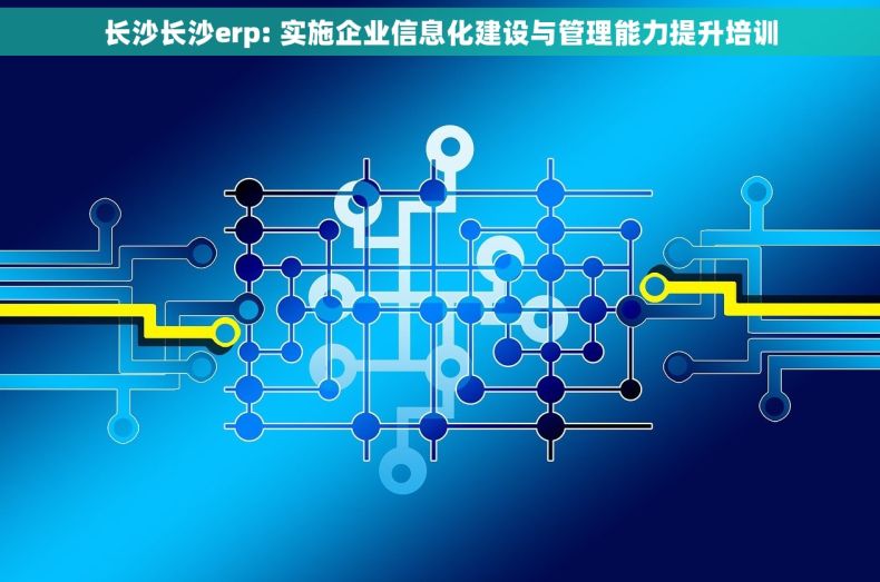 长沙长沙erp: 实施企业信息化建设与管理能力提升培训