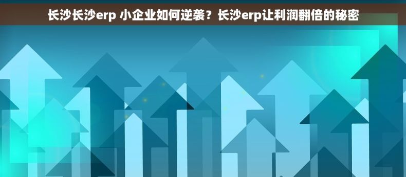 长沙长沙erp 小企业如何逆袭？长沙erp让利润翻倍的秘密