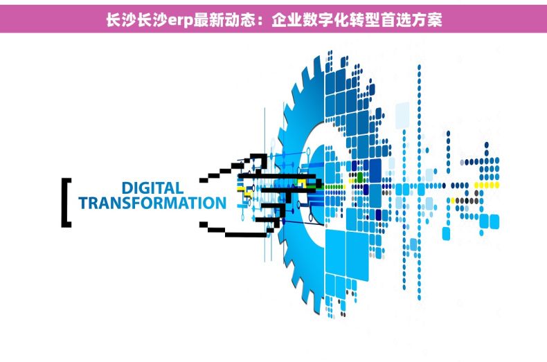 长沙长沙erp最新动态：企业数字化转型首选方案