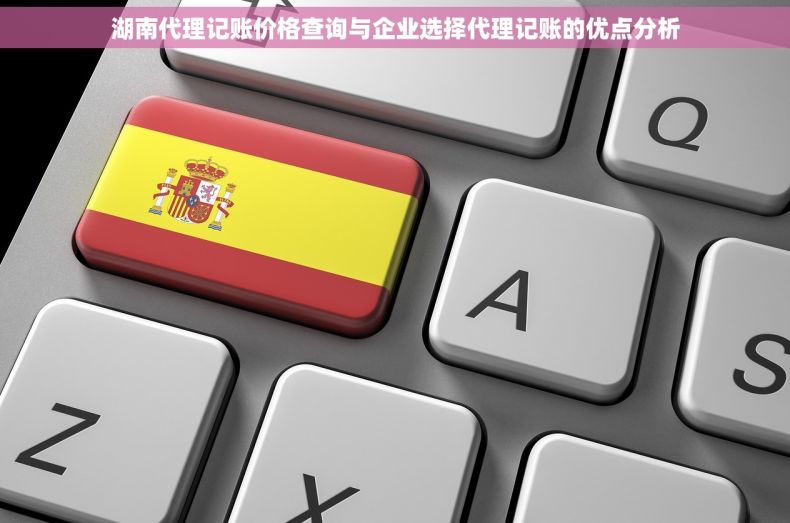 湖南代理记账价格查询与企业选择代理记账的优点分析