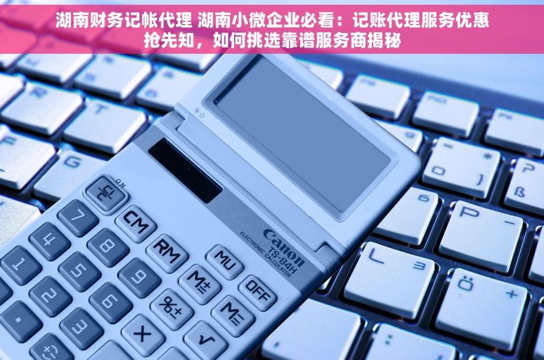 湖南财务记帐代理 湖南小微企业必看：记账代理服务优惠抢先知，如何挑选靠谱服务商揭秘