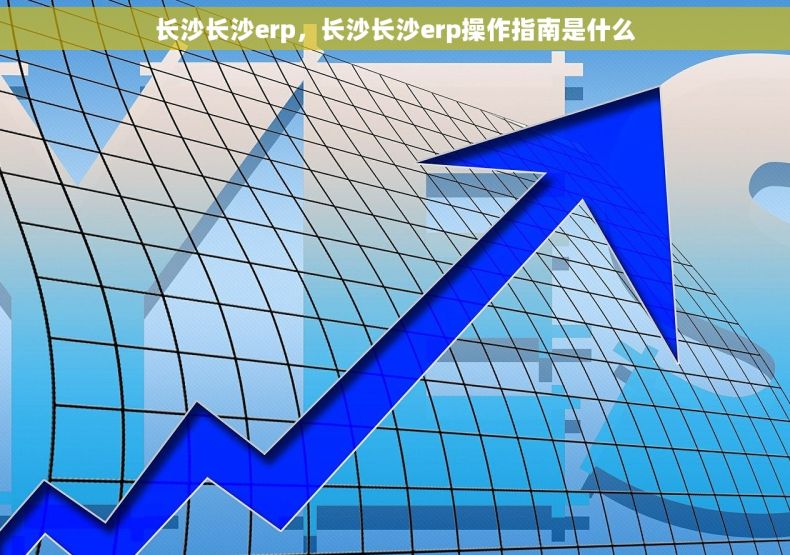 长沙长沙erp，长沙长沙erp操作指南是什么