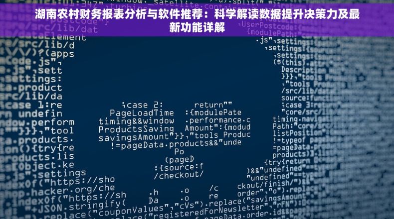 湖南农村财务报表分析与软件推荐：科学解读数据提升决策力及最新功能详解