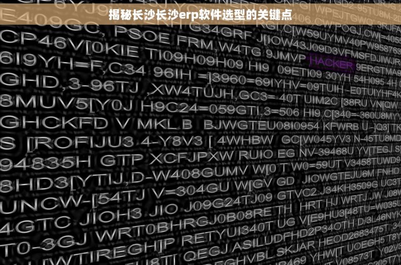 揭秘长沙长沙erp软件选型的关键点