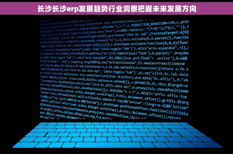 长沙长沙erp发展趋势行业洞察把握未来发展方向