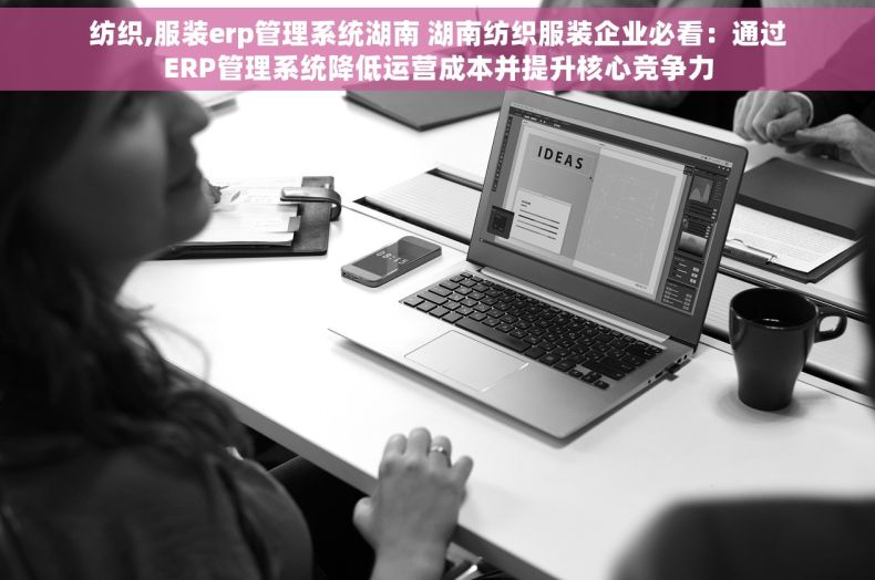 纺织,服装erp管理系统湖南 湖南纺织服装企业必看：通过ERP管理系统降低运营成本并提升核心竞争力