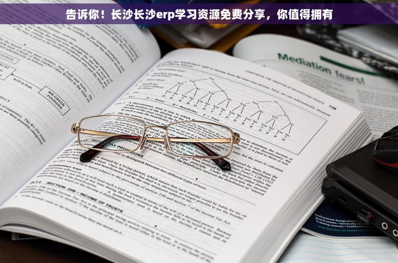 告诉你！长沙长沙erp学习资源免费分享，你值得拥有