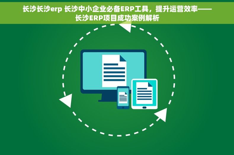 长沙长沙erp 长沙中小企业必备ERP工具，提升运营效率——长沙ERP项目成功案例解析