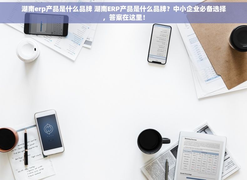 湖南erp产品是什么品牌 湖南ERP产品是什么品牌？中小企业必备选择，答案在这里！