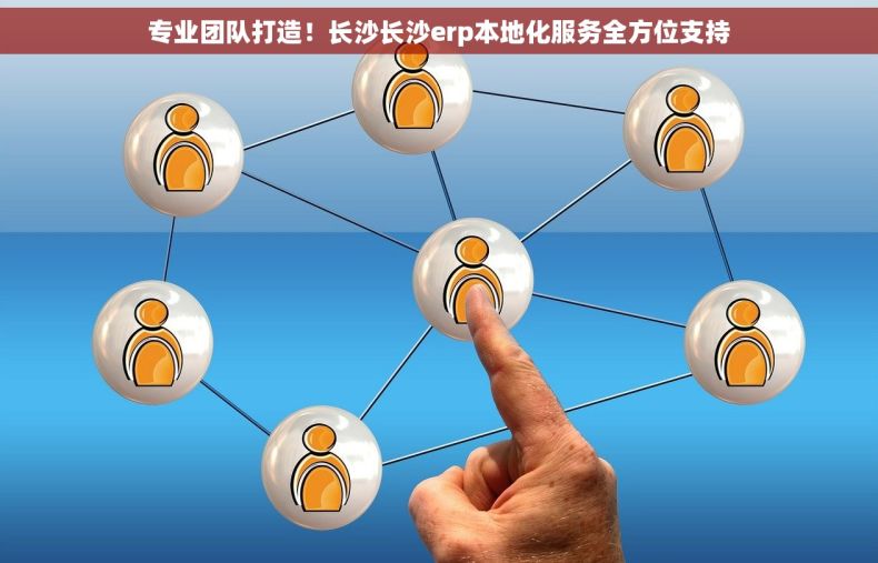 专业团队打造！长沙长沙erp本地化服务全方位支持