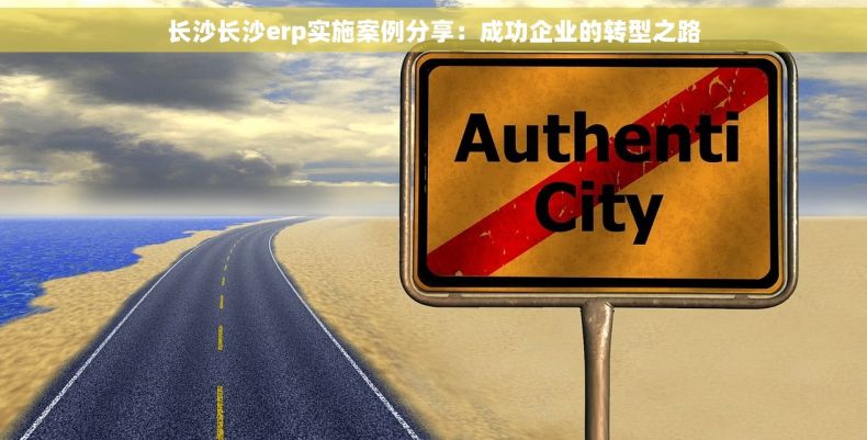 长沙长沙erp实施案例分享：成功企业的转型之路