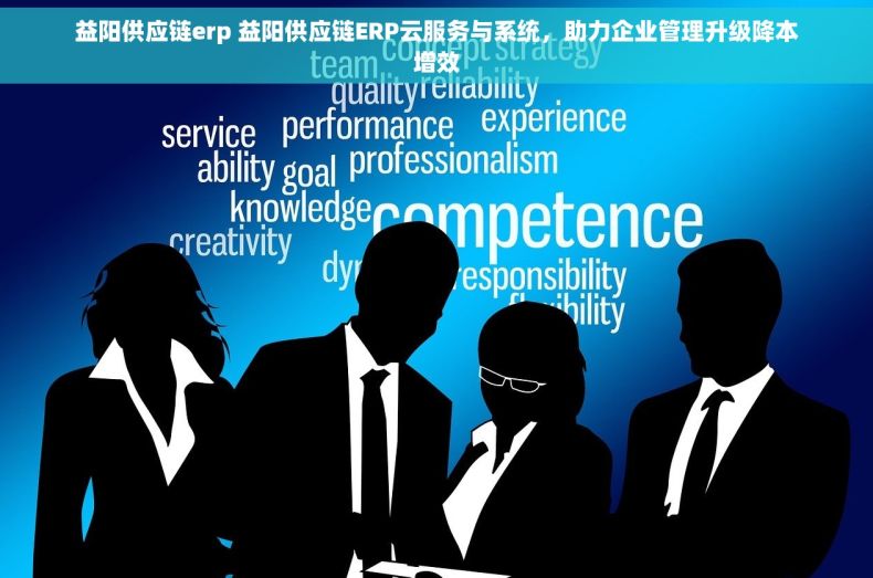 益阳供应链erp 益阳供应链ERP云服务与系统，助力企业管理升级降本增效