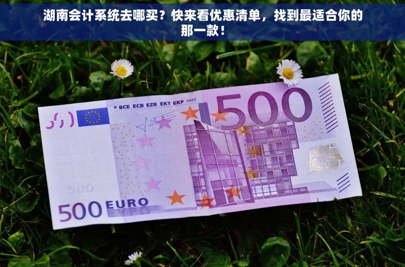 湖南会计系统去哪买？快来看优惠清单，找到最适合你的那一款！