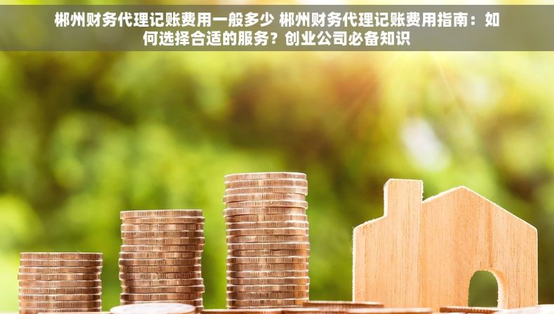 郴州财务代理记账费用一般多少 郴州财务代理记账费用指南：如何选择合适的服务？创业公司必备知识