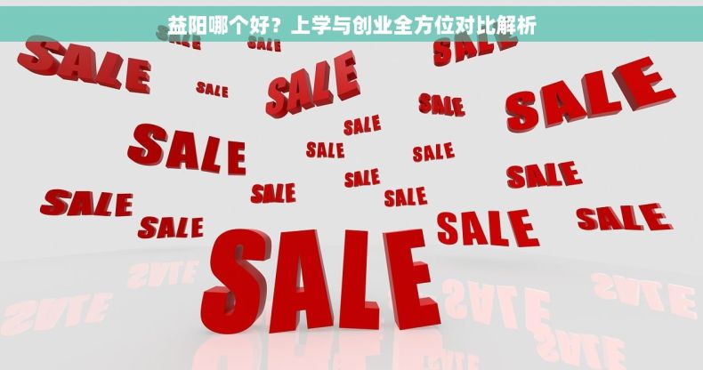 益阳哪个好？上学与创业全方位对比解析