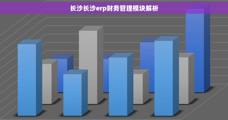 长沙长沙erp财务管理模块解析