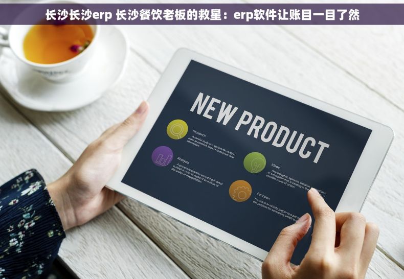 长沙长沙erp 长沙餐饮老板的救星：erp软件让账目一目了然